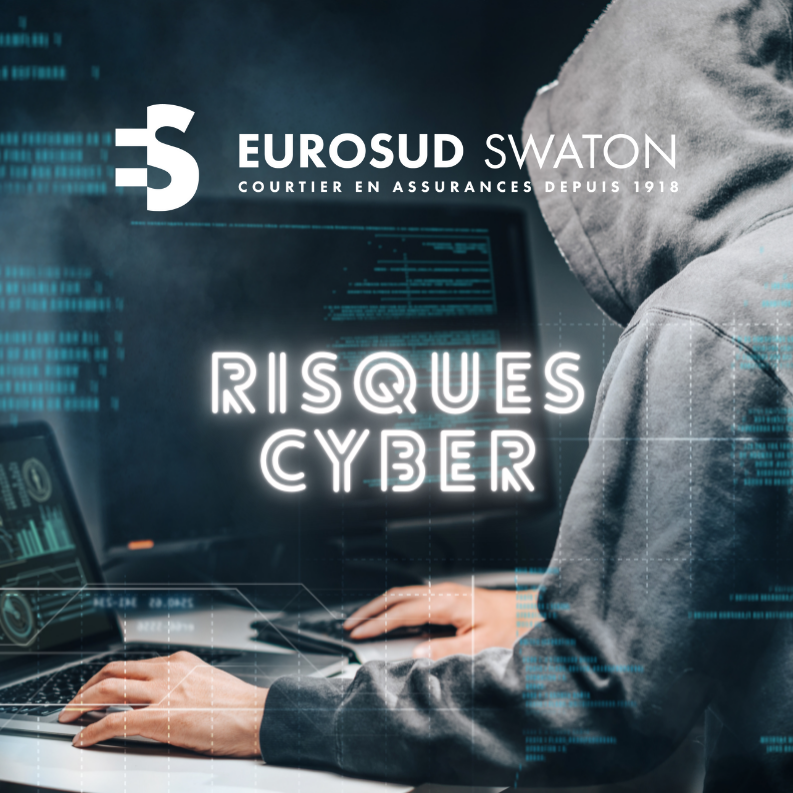 Fraude et Cyber-criminalité
